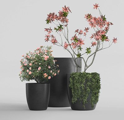Кашпо CONCRETIKA VASE 3 NERO D50H55 заказать и купить Кашпо CONCRETIKA VASE 3 NERO D50H55 заказать и купить по цене 19 960 руб ниже рынка от производителя с доставкой.