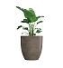 Кашпо CONCRETIKA VASE 3 SMOKEY GREY D90H95 заказать и купить с доставкой из магазина производителя Конкретика по цене 93 410 руб.