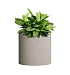 Кашпо CONCRETIKA CYLINDER EROSIA YELLOW D30H30 заказать и купить с доставкой из магазина производителя Конкретика по цене 10 200 руб.