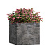 Кашпо CONCRETIKA CUBE CONCRETE GREY DARK 30x30x30 заказать и купить с доставкой из магазина производителя Конкретика по цене 11 970 руб.