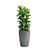 Кашпо CONCRETIKA CONUS SMOKEY BLUE D41H57 заказать и купить с доставкой из магазина производителя Конкретика по цене 18 630 руб.