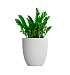 Кашпо CONCRETIKA VASE 3 SANTORINI D60H65 заказать и купить с доставкой из магазина производителя Конкретика по цене 34 050 руб.