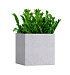 Кашпо CONCRETIKA CUBE EGG WHITE 60x60x60 заказать и купить с доставкой из магазина производителя Конкретика по цене 32 290 руб.