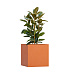 Кашпо CONCRETIKA CUBE CARROT 70x70x70 заказать и купить с доставкой из магазина производителя Конкретика по цене 54 780 руб.