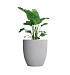 Кашпо CONCRETIKA VASE 3 SHALE D90H95 заказать и купить с доставкой из магазина производителя Конкретика по цене 77 840 руб.