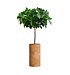 Кашпо CONCRETIKA CYLINDER CLASSIC CLAY D30H60 заказать и купить с доставкой из магазина производителя Конкретика по цене 16 040 руб.