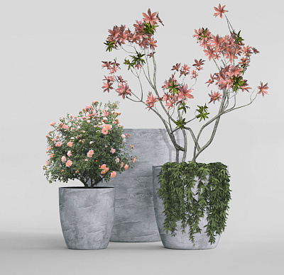 Кашпо CONCRETIKA VASE 3 CONCRETE GREY LIGHT D60H65 заказать и купить Кашпо CONCRETIKA VASE 3 CONCRETE GREY LIGHT D60H65 заказать и купить по цене 40 880 руб ниже рынка от производителя с доставкой.