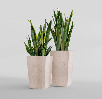 Кашпо CONCRETIKA CONIC CONCRETE WHITE 30x30x50 заказать и купить Кашпо CONCRETIKA CONIC CONCRETE WHITE 30x30x50 заказать и купить по цене 15 970 руб ниже рынка от производителя с доставкой.