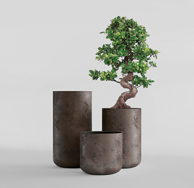 Кашпо CONCRETIKA TOPPER TAUPE CONCRETE D40H60 заказать и купить Кашпо CONCRETIKA TOPPER TAUPE CONCRETE D40H60 заказать и купить по цене 21 290 руб ниже рынка от производителя с доставкой.