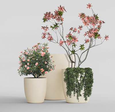 Кашпо CONCRETIKA VASE 3 SAHARA D30H32 заказать и купить Кашпо CONCRETIKA VASE 3 SAHARA D30H32 заказать и купить по цене 9 320 руб ниже рынка от производителя с доставкой.