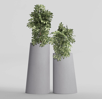 Кашпо CONCRETIKA DUET SHALE D41H104 заказать и купить Кашпо CONCRETIKA DUET SHALE D41H104 заказать и купить по цене 36 590 руб ниже рынка от производителя с доставкой.