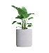 Кашпо CONCRETIKA CYLINDER XL EGG WHITE D80H85 заказать и купить с доставкой из магазина производителя Конкретика по цене 58 770 руб.