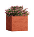 Кашпо CONCRETIKA CUBE EROSIA CORAL 30x30x30 заказать и купить с доставкой из магазина производителя Конкретика по цене 11 480 руб.