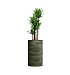 Кашпо CONCRETIKA CYLINDER CAYMAN GREEN D45H80 заказать и купить с доставкой из магазина производителя Конкретика по цене 33 150 руб.