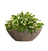 Кашпо CONCRETIKA BONSAY SMOKEY GREY D50H19 заказать и купить с доставкой из магазина производителя Конкретика по цене 13 970 руб.
