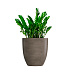 Кашпо CONCRETIKA VASE 3 SMOKEY GREY D60H65 заказать и купить с доставкой из магазина производителя Конкретика по цене 40 880 руб.