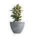 Кашпо CONCRETIKA UPON CONCRETE GREY LIGHT D85H75 заказать и купить с доставкой из магазина производителя Конкретика по цене 50 560 руб.