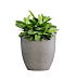 Кашпо CONCRETIKA VASE 3 CONCRETE WHITE D30H32 заказать и купить с доставкой из магазина производителя Конкретика по цене 11 180 руб.
