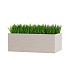 Кашпо CONCRETIKA BALCONY EROSIA YELLOW 40x20x15 заказать и купить с доставкой из магазина производителя Конкретика по цене 7 650 руб.