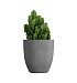Кашпо CONCRETIKA VASE 3 LONDON GREY D50H55 заказать и купить с доставкой из магазина производителя Конкретика по цене 19 960 руб.