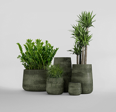 Кашпо CONCRETIKA CONE CAYMAN GREEN D50H54 заказать и купить Кашпо CONCRETIKA CONE CAYMAN GREEN D50H54 заказать и купить по цене 27 570 руб ниже рынка от производителя с доставкой.