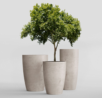 Кашпо CONCRETIKA CONUS CONCRETE WHITE D39H60 заказать и купить Кашпо CONCRETIKA CONUS CONCRETE WHITE D39H60 заказать и купить по цене 19 960 руб ниже рынка от производителя с доставкой.