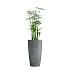 Кашпо CONCRETIKA CONUS SMOKEY BLUE D40H80 заказать и купить с доставкой из магазина производителя Конкретика по цене 23 950 руб.