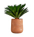 Кашпо CONCRETIKA CONE RED CLAY D50H54 заказать и купить с доставкой из магазина производителя Конкретика по цене 27 570 руб.