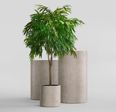 Кашпо CONCRETIKA CYLINDER CONCRETE WHITE D30H60 заказать и купить Кашпо CONCRETIKA CYLINDER CONCRETE WHITE D30H60 заказать и купить по цене 17 040 руб ниже рынка от производителя с доставкой.