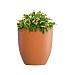 Кашпо CONCRETIKA VASE 3 CARROT D40H45 заказать и купить с доставкой из магазина производителя Конкретика по цене 13 310 руб.