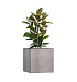 Кашпо CONCRETIKA CUBE CONCRETE WHITE 70x70x70 заказать и купить с доставкой из магазина производителя Конкретика по цене 65 740 руб.