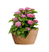 Кашпо CONCRETIKA BOWL CLASSIC CLAY D52H29 заказать и купить с доставкой из магазина производителя Конкретика по цене 12 530 руб.