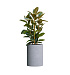 Кашпо CONCRETIKA CYLINDER EROSIA WHITE D50H65 заказать и купить с доставкой из магазина производителя Конкретика по цене 31 890 руб.