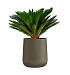 Кашпо CONCRETIKA CONE OLIVE D50H54 заказать и купить с доставкой из магазина производителя Конкретика по цене 24 390 руб.
