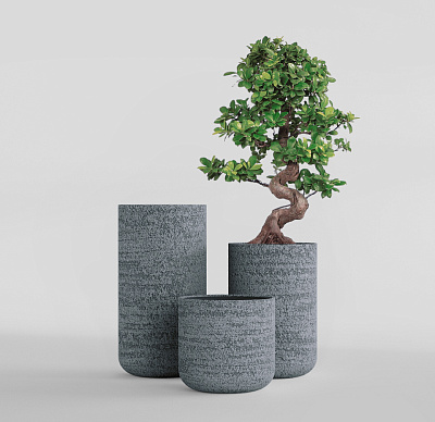 Кашпо CONCRETIKA TOPPER EROSIA GREY D40H90 заказать и купить Кашпо CONCRETIKA TOPPER EROSIA GREY D40H90 заказать и купить по цене 30 600 руб ниже рынка от производителя с доставкой.