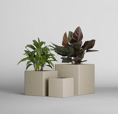 Кашпо CONCRETIKA QADRO DUNE 50x50x50 заказать и купить Кашпо CONCRETIKA QADRO DUNE 50x50x50 заказать и купить по цене 22 750 руб ниже рынка от производителя с доставкой.