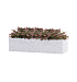 Кашпо CONCRETIKA BALCONY EGG WHITE 80x20x20 заказать и купить с доставкой из магазина производителя Конкретика по цене 11 090 руб.