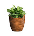 Кашпо CONCRETIKA VASE 3 CAYMAN BROWN D30H32 заказать и купить с доставкой из магазина производителя Конкретика по цене 10 710 руб.