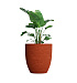 Кашпо CONCRETIKA VASE 3 EROSIA CORAL D90H95 заказать и купить с доставкой из магазина производителя Конкретика по цене 89 520 руб.