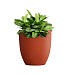 Кашпо CONCRETIKA VASE 3 TERRACOTTA D30H32 заказать и купить с доставкой из магазина производителя Конкретика по цене 9 320 руб.