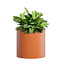 Кашпо CONCRETIKA CYLINDER CARROT D30H30 заказать и купить с доставкой из магазина производителя Конкретика по цене 8 870 руб.