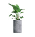 Кашпо CONCRETIKA CYLINDER CONCRETE GREY LIGHT D60H90 заказать и купить с доставкой из магазина производителя Конкретика по цене 63 200 руб.