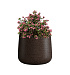 Кашпо CONCRETIKA CONE EROSIA BROWN D24H26 заказать и купить с доставкой из магазина производителя Конкретика по цене 6 380 руб.