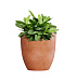Кашпо CONCRETIKA VASE 3 RED CLAY D30H32 заказать и купить с доставкой из магазина производителя Конкретика по цене 10 520 руб.