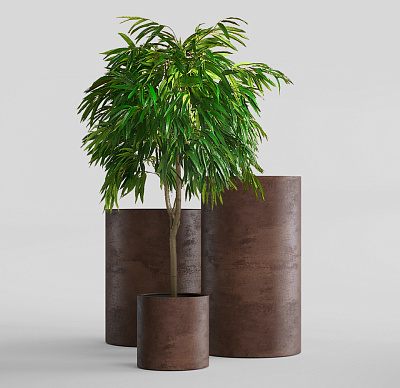 Кашпо CONCRETIKA CYLINDER COFFEE D50H65 заказать и купить Кашпо CONCRETIKA CYLINDER COFFEE D50H65 заказать и купить по цене 31 330 руб ниже рынка от производителя с доставкой.