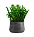 Кашпо CONCRETIKA CONE CONCRETE GREY DARK D60H42 заказать и купить с доставкой из магазина производителя Конкретика по цене 29 280 руб.
