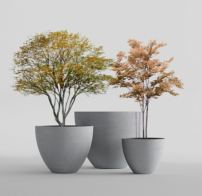 Кашпо CONCRETIKA UPON LONDON GREY D65H55 заказать и купить Кашпо CONCRETIKA UPON LONDON GREY D65H55 заказать и купить по цене 24 390 руб ниже рынка от производителя с доставкой.