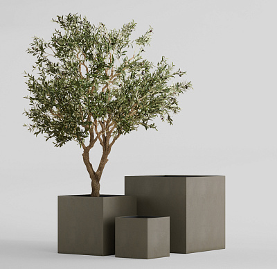 Кашпо CONCRETIKA CUBE OLIVE 60x60x60 заказать и купить Кашпо CONCRETIKA CUBE OLIVE 60x60x60 заказать и купить по цене 32 290 руб ниже рынка от производителя с доставкой.