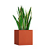 Кашпо CONCRETIKA CUBE TERRACOTTA 40x40x40 заказать и купить с доставкой из магазина производителя Конкретика по цене 14 550 руб.