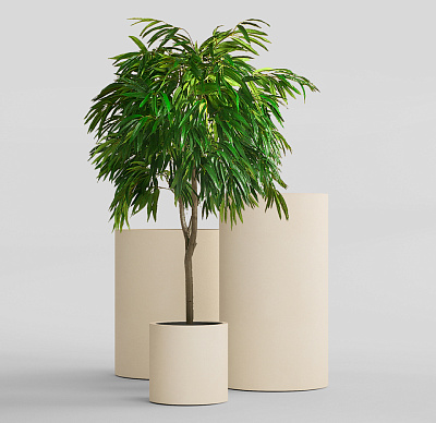 Кашпо CONCRETIKA CYLINDER SAHARA D30H30 заказать и купить Кашпо CONCRETIKA CYLINDER SAHARA D30H30 заказать и купить по цене 8 870 руб ниже рынка от производителя с доставкой.